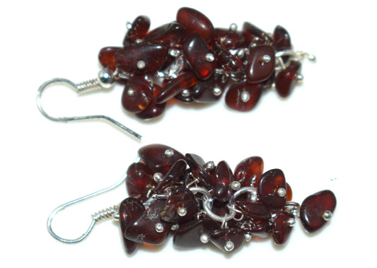 Amber Ear Hanging Earrings 