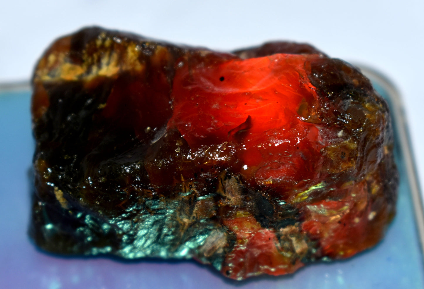 Amber Gemstone Rough, {33.52 Gram}