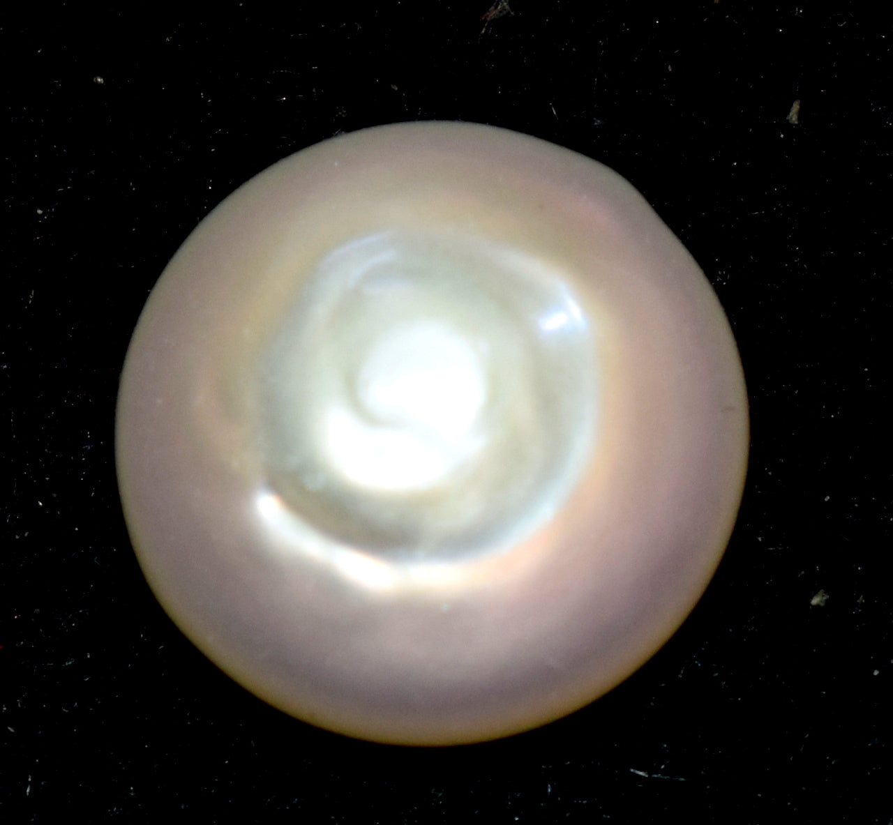 South Sea Pearl Stone Wearing For Women's And Men's