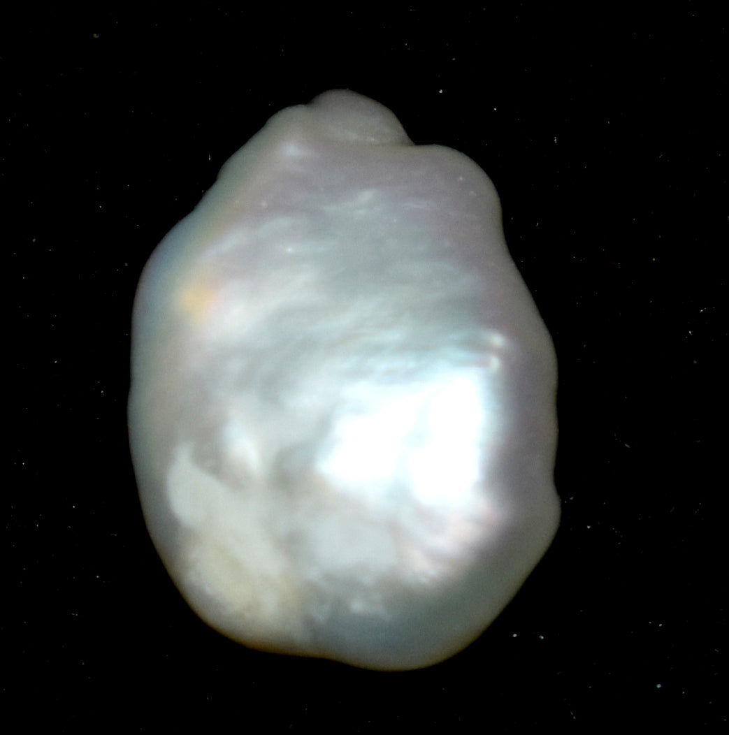 South Sea Pearl,