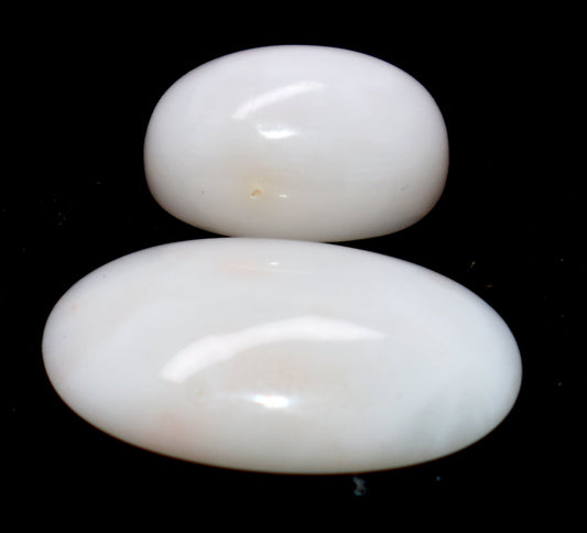 Natural White Coral { Munga} Cabochon Gemstone