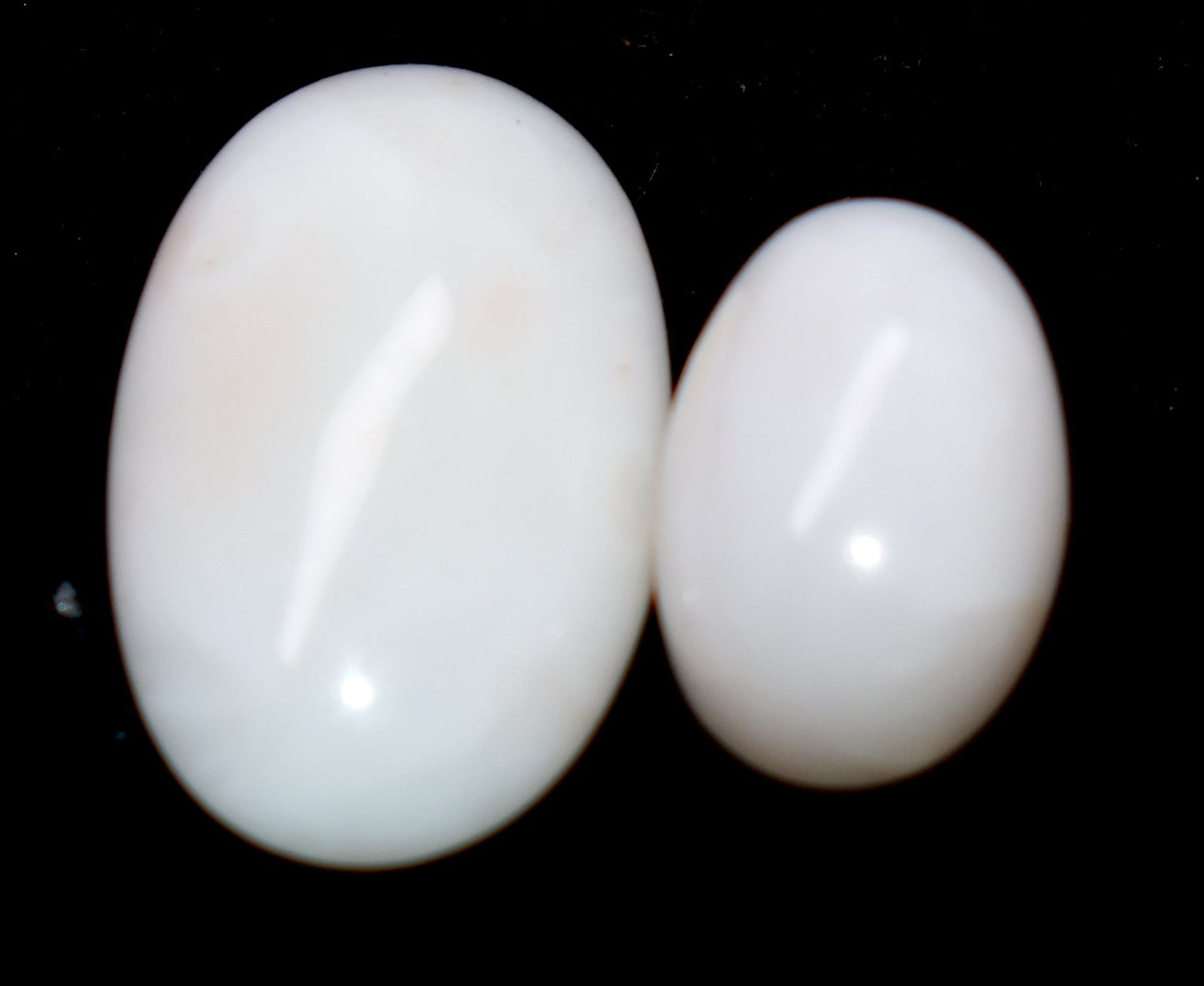 Natural White Coral { Munga} Cabochon Gemstone