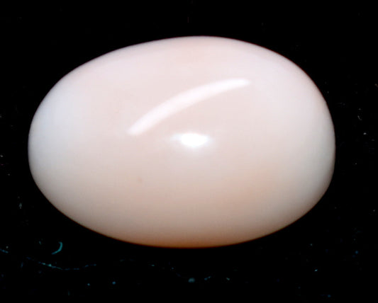 Natural White Coral { Munga} Cabochon Gemstone