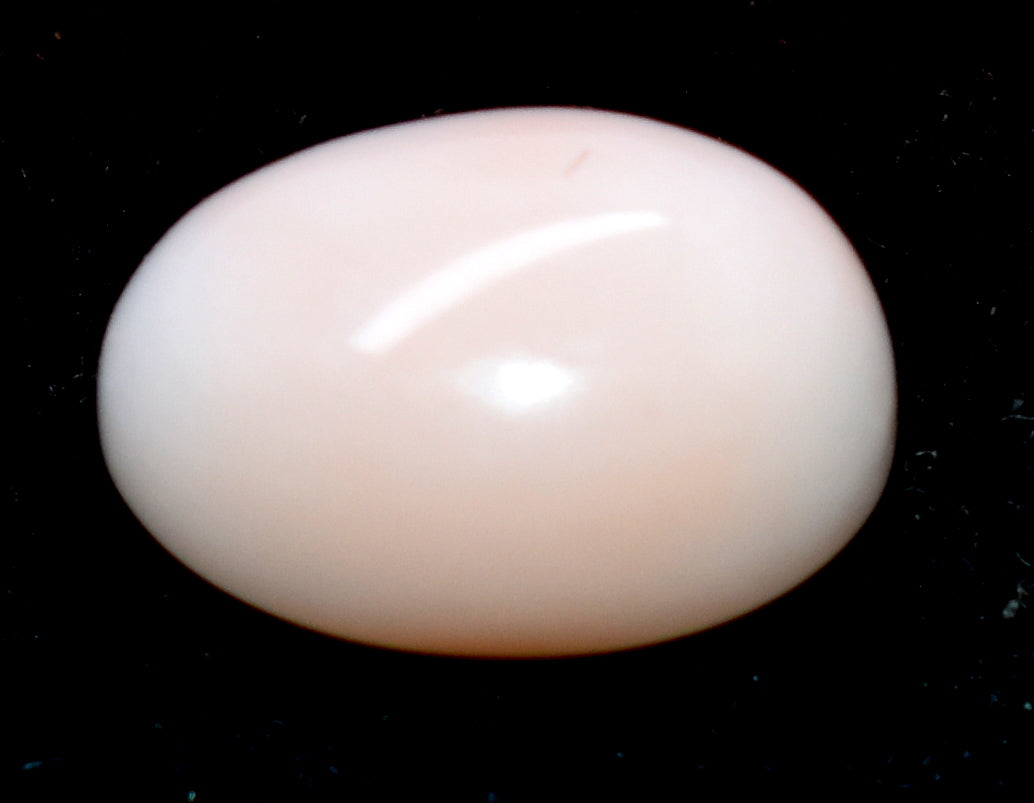 Natural White Coral { Munga} Cabochon Gemstone