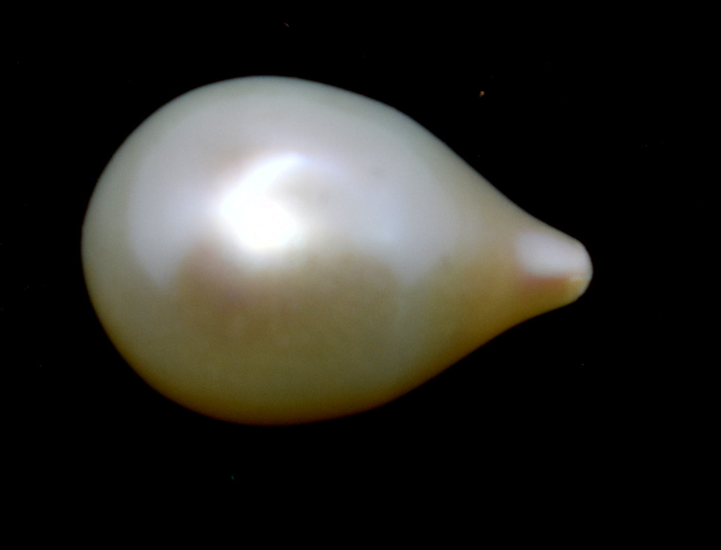 South Sea Pearl - Baroque Saltwater Cultured Pearl