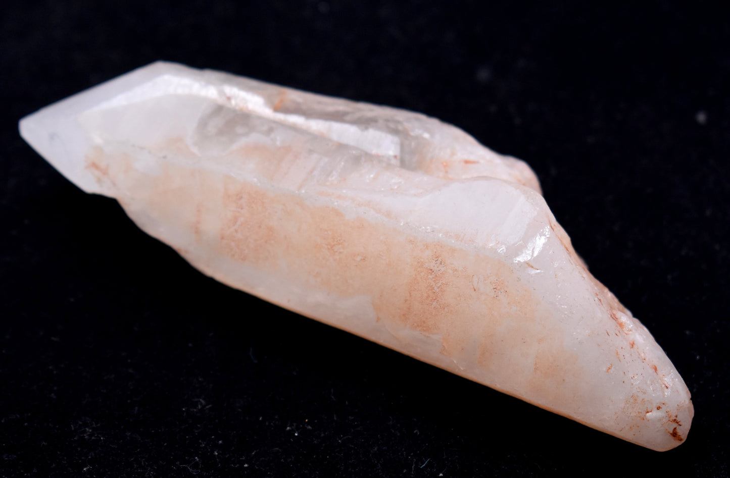 Pink Red Rose Lemurian, Deep Saturation,