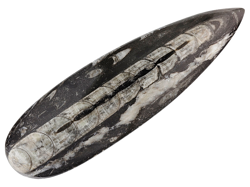 Black Fossil