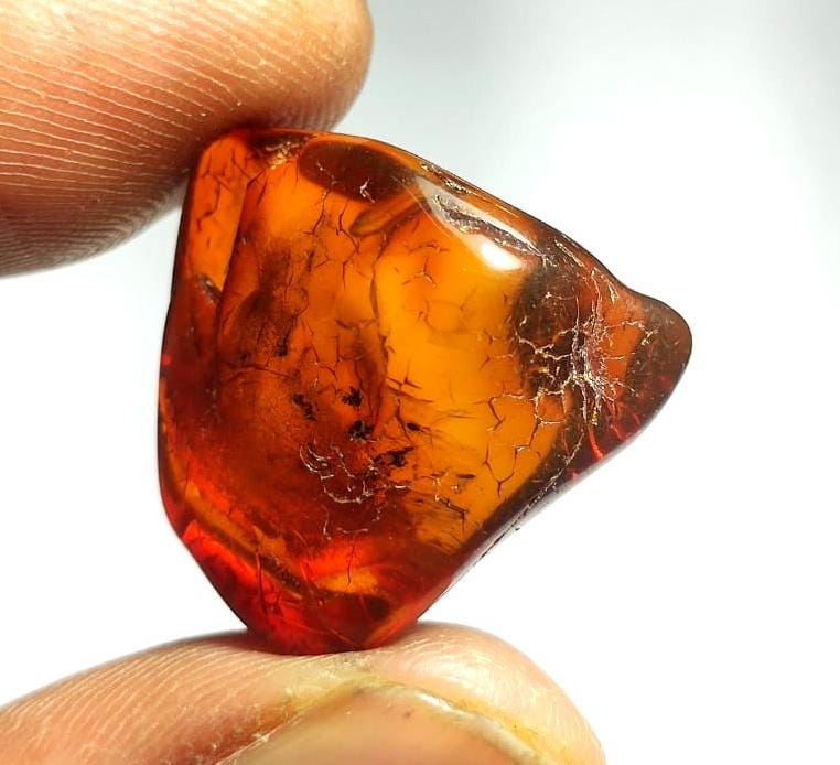 Natural Baltic Amber, Welo Polish Rough Amber Gemstone, 10.40 Carat, Size-22x22x8mm, For Amber Healing,