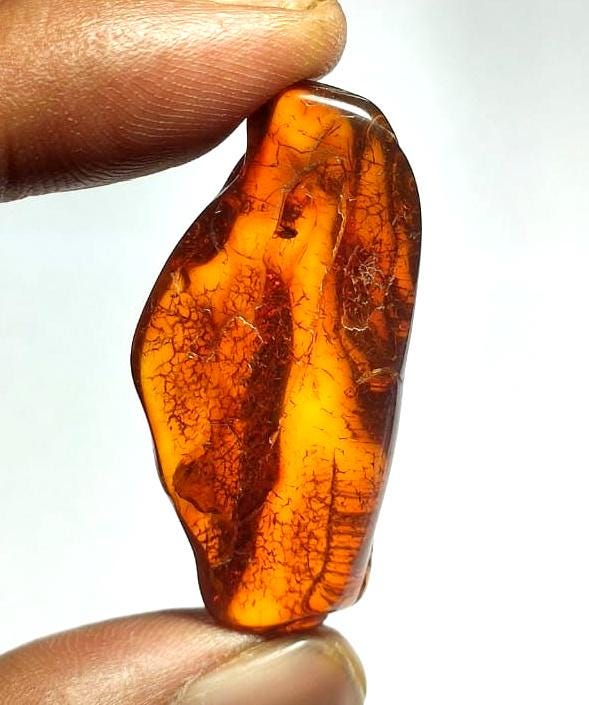 100% Natural Baltic Amber, 20.80 Carat, Size-43x20x10mm,