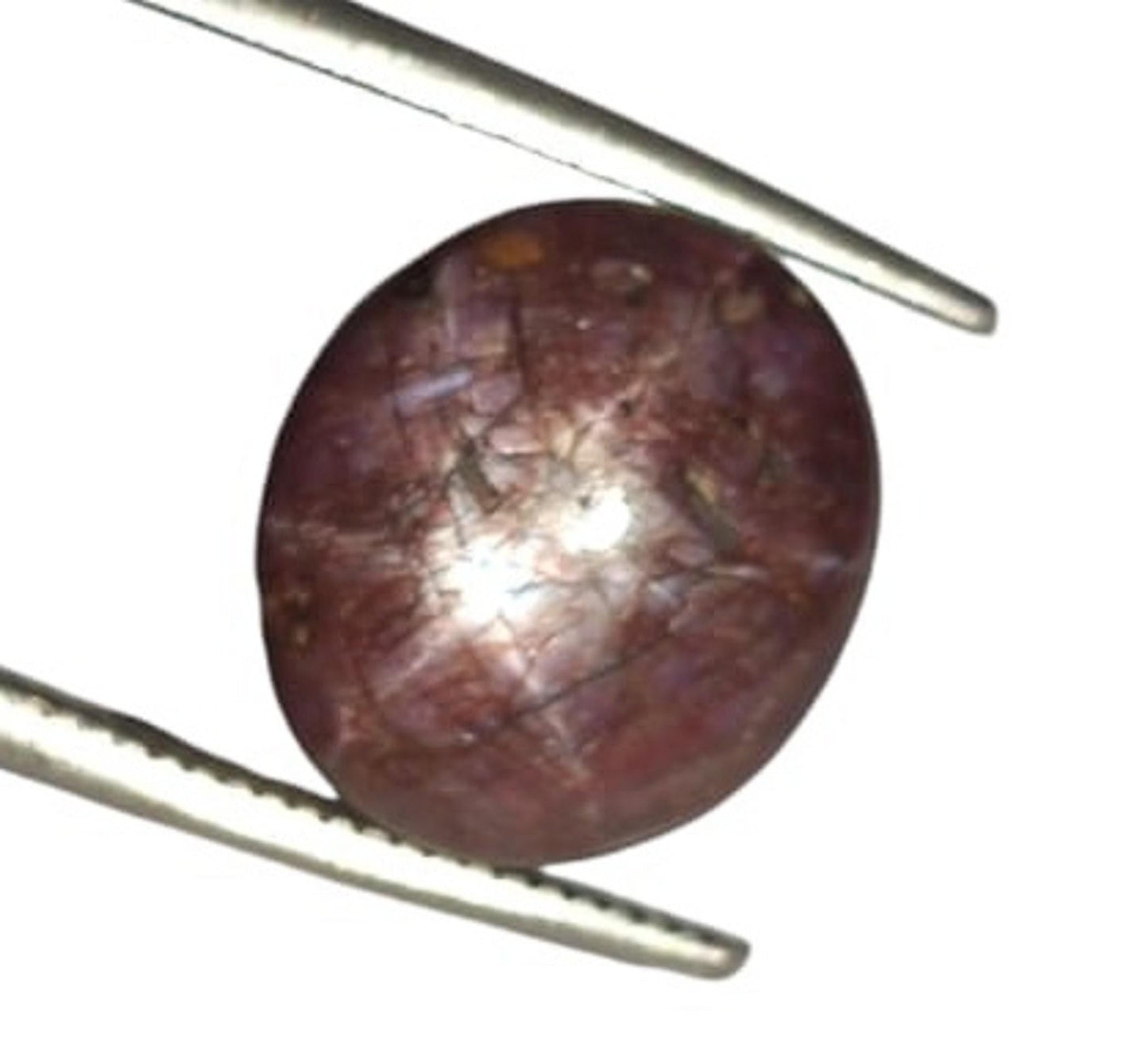 100% Natural Star Sapphire, Oval Smoothies Cabochon Loose Gemstone, 8.20 Carat, Size-10x11x6.5mm, For Jewelry Making,