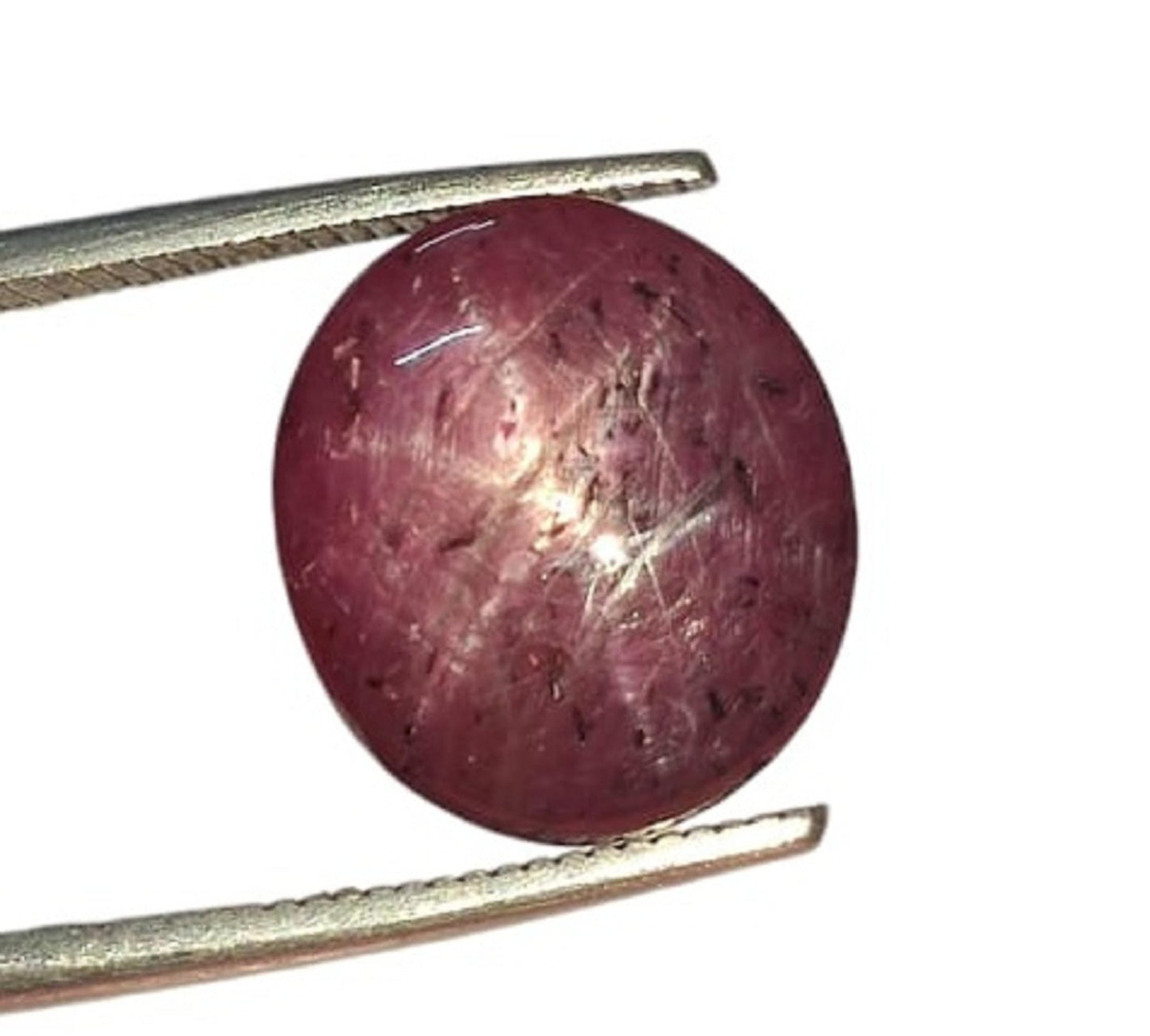 Natural Star Ruby Sapphire, Oval Smoothies Cabochon Loose Gemstone, 8.00 Carat, Size-11x12x5.5mm,