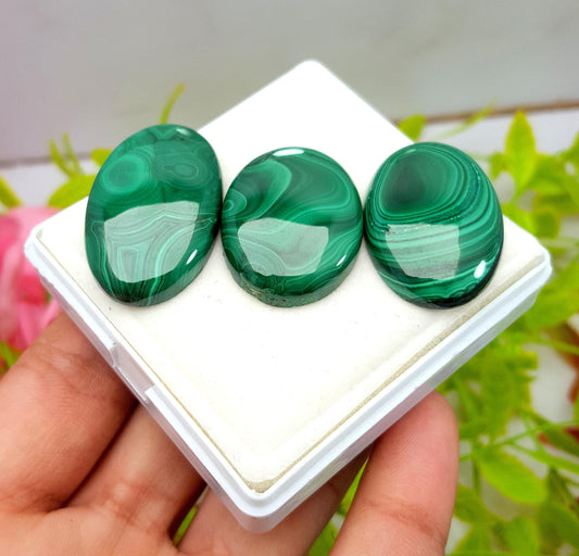 Natural Malachite, Oval Smooth Cabochon Gemstone Lot, 151.50 Carat, Size-33x20x6mm To 29x22x6mm,