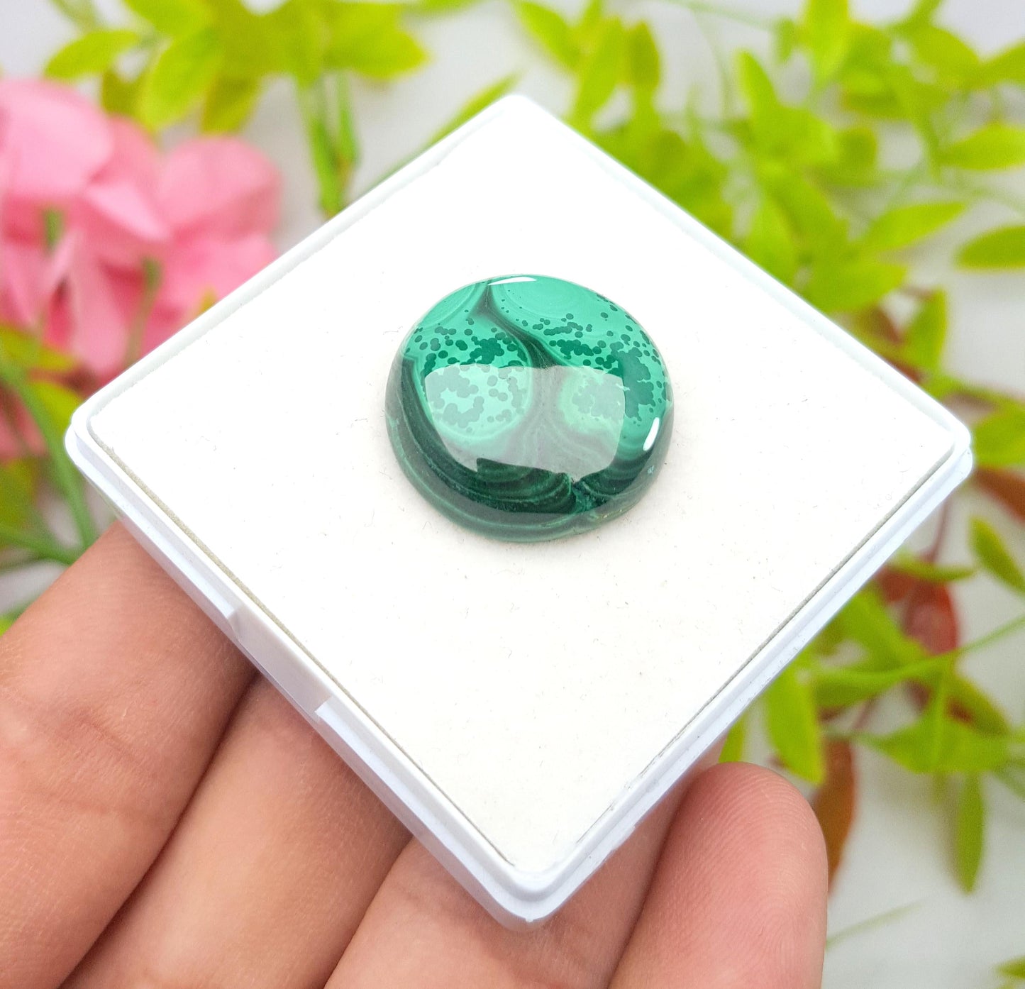 Malachite Round Smooth Cabochon Loose Gemstone, 38.40 Carat, Size-21x21x6mm,