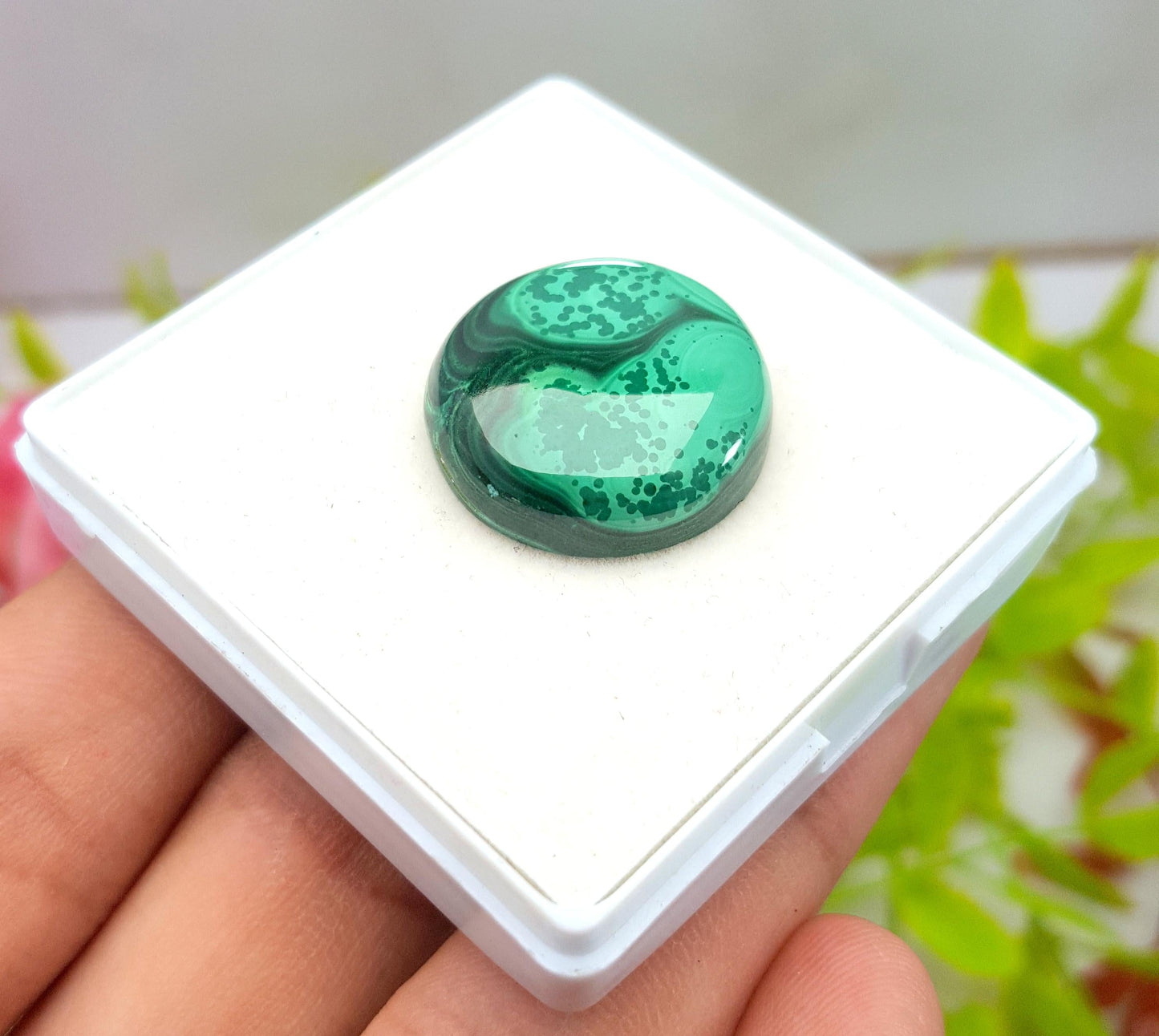 Malachite Round Smooth Cabochon Loose Gemstone, 38.40 Carat, Size-21x21x6mm,