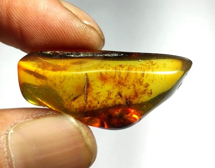 100% Natural Baltic Amber, Welo Polish Rough Amber Gemstone, 21.00 Carat, Size-37x14x12mm, For Home Decor,