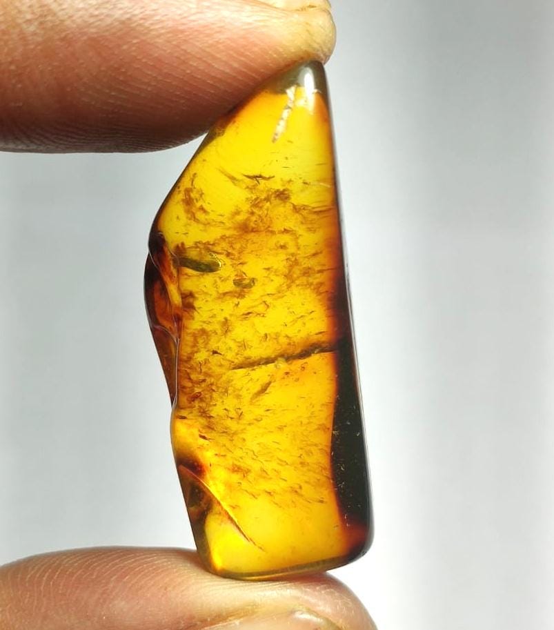 100% Natural Baltic Amber, Welo Polish Rough Amber Gemstone, 21.00 Carat, Size-37x14x12mm, For Home Decor,