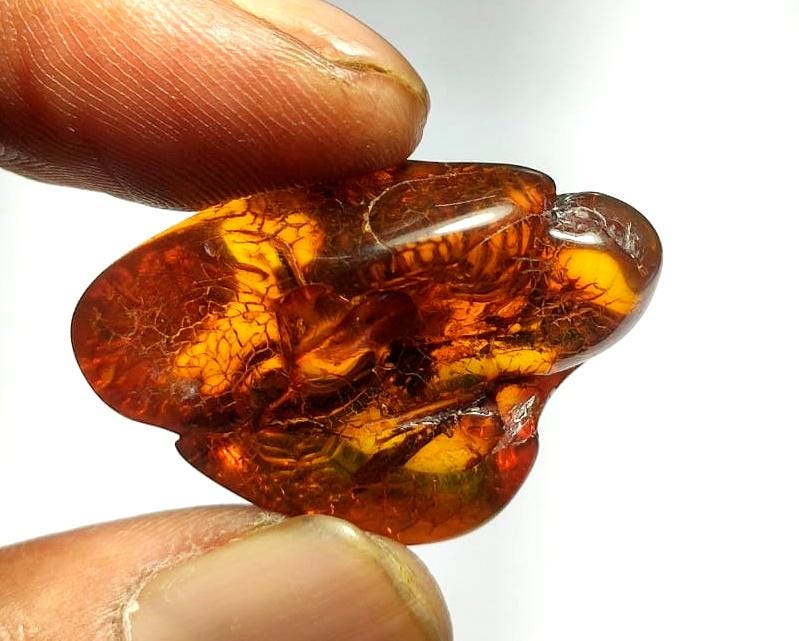 100% Natural Baltic Amber, Welo Polish Rough Amber Gemstone, 23.40,Carat, Size-33x22x14mm, For Home Decor,