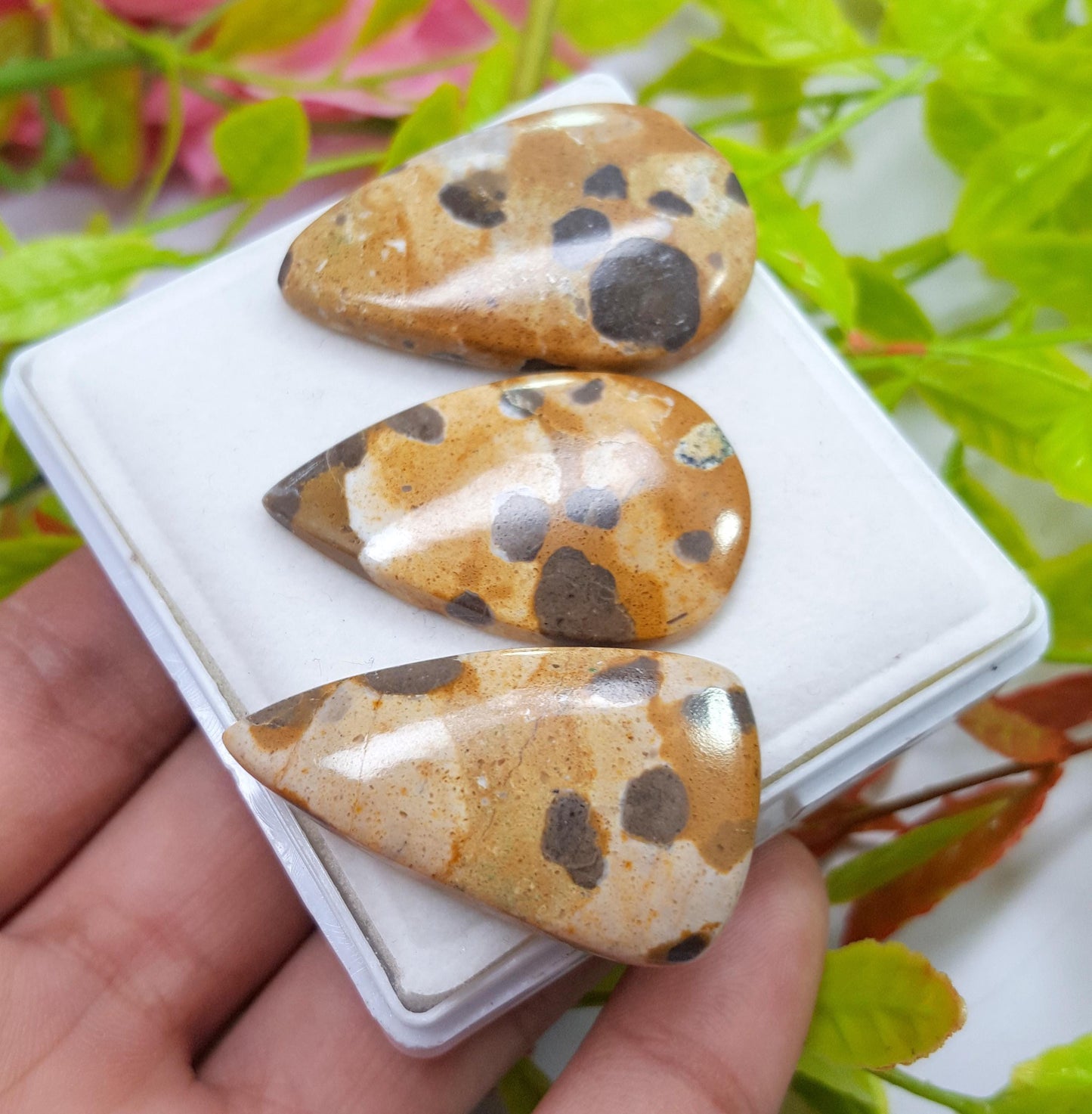 Jasper, Natural Picture Jasper, Pear Smooth Cabochon Gemstone Lot, 98.10 Carat, Size-38x24x5mm To 36x22x4mm, For Jewelry Making,