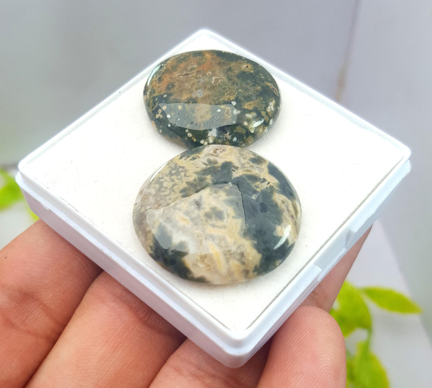 Jasper, Natural Ocean Jasper, Round Smooth Cabochon Gemstone Lot, 59.60 Carat, Size-26x226x6mm To 24x24x5mm, For Jewelry Making, PCS-2