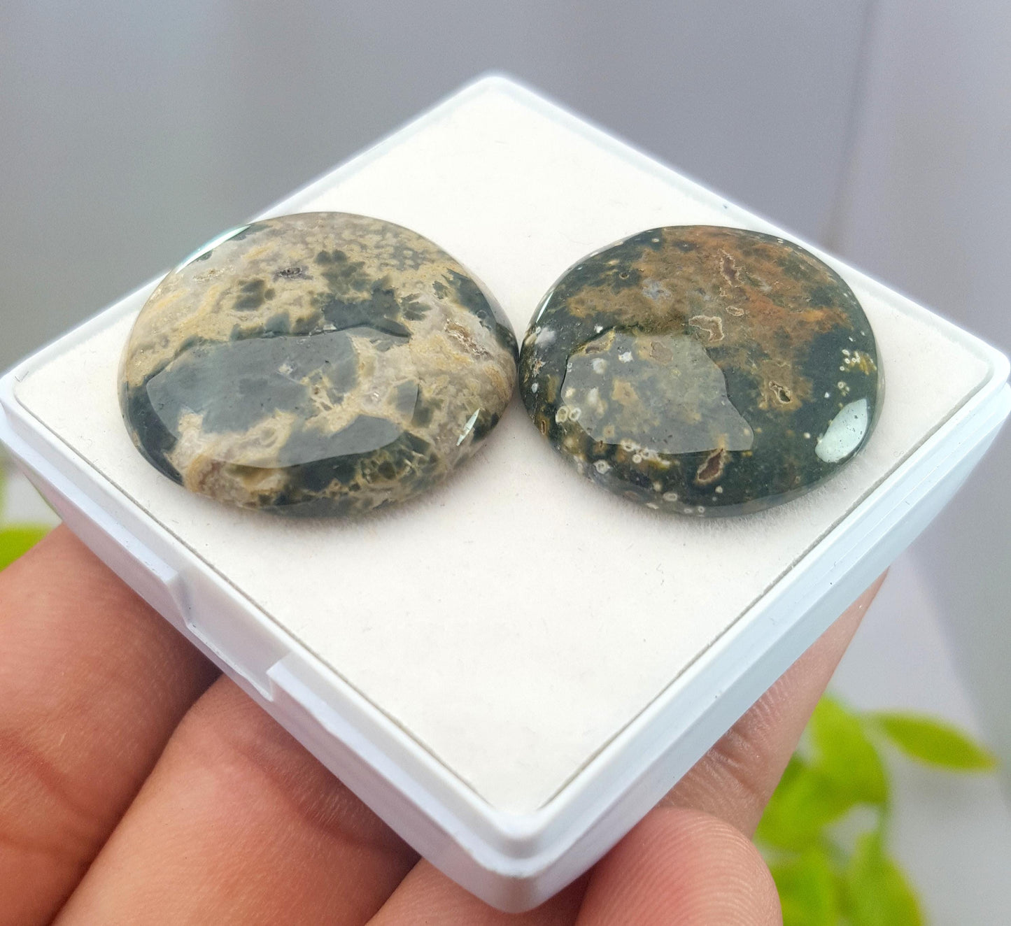 Jasper, Natural Ocean Jasper, Round Smooth Cabochon Gemstone Lot, 59.60 Carat, Size-26x226x6mm To 24x24x5mm, For Jewelry Making, PCS-2