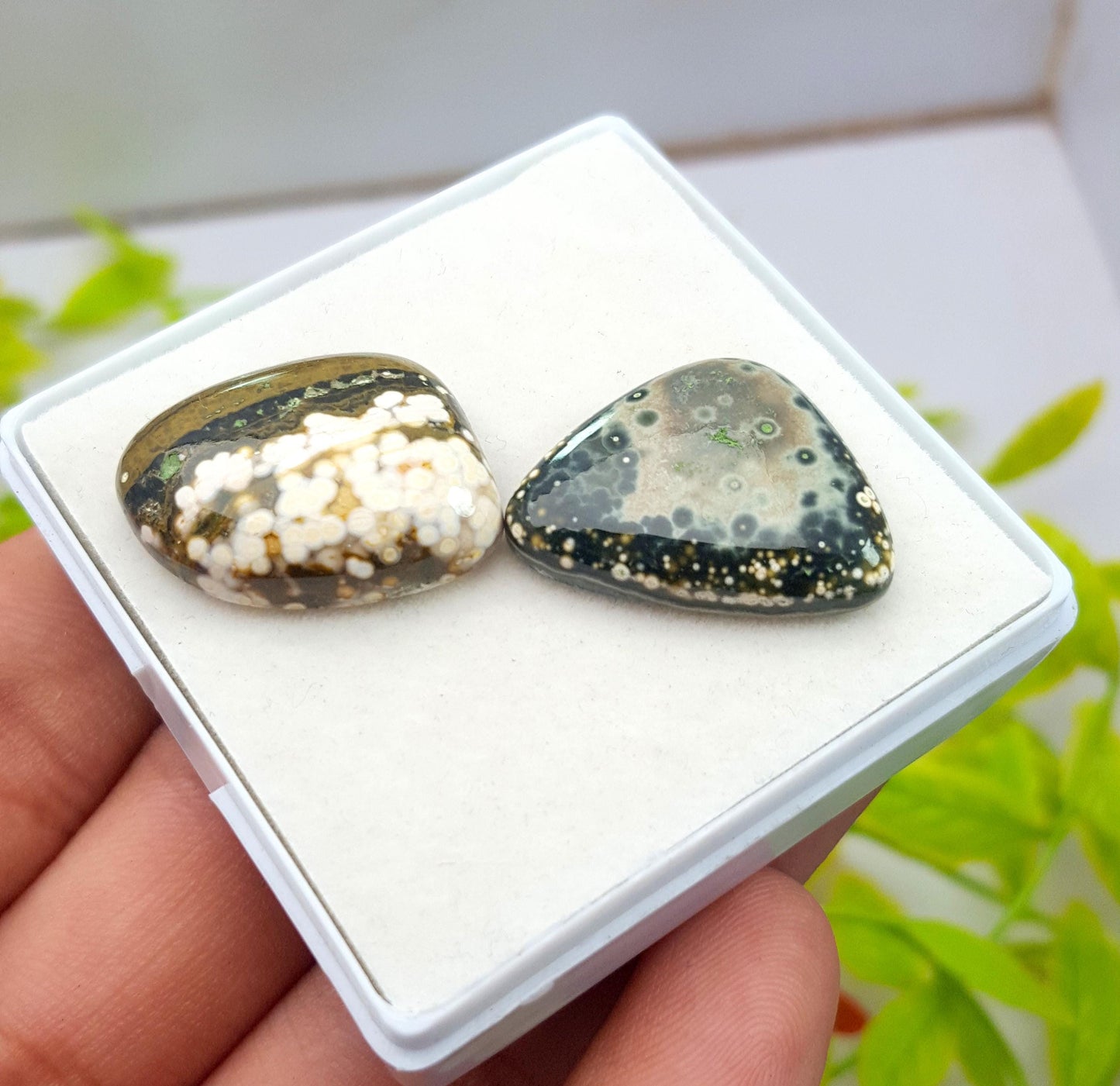 Jasper, Natural Ocean Jasper, Fancy  Smooth Cabochon Loose Gemstone, 34.010 Carat, Size-23x17x5mm To 22x17x6mm, For Jewelry Making, PCS-1