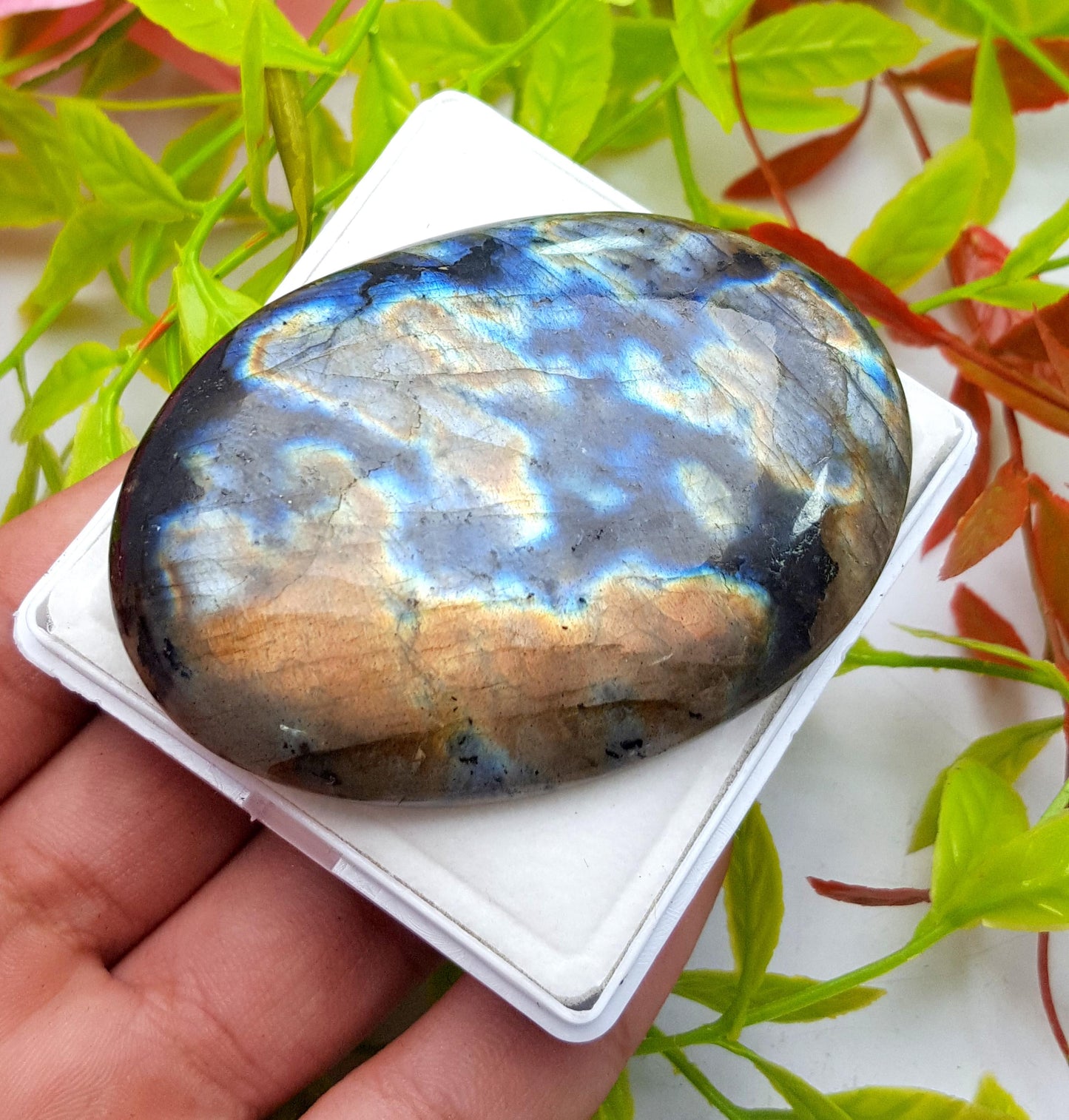 100% Natural Multi Flashy Labradorite, Oval Smooth Cabochon Loose Gemstone, 256.60 Carat, Size-67x47x9mm, Gift For Her, PC-1