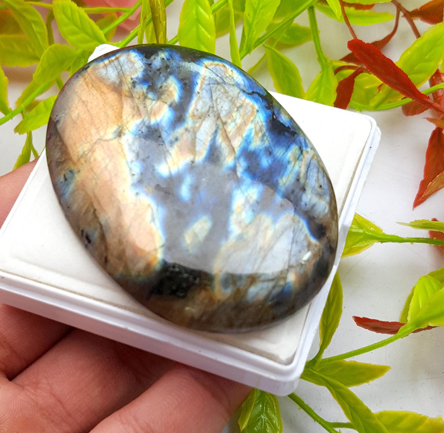 100% Natural Multi Flashy Labradorite, Oval Smooth Cabochon Loose Gemstone, 256.60 Carat, Size-67x47x9mm, Gift For Her, PC-1