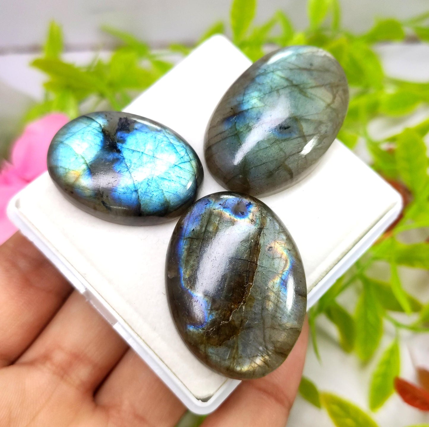 Labradorite, 100% Natural Multi Labradorite, Oval Smooth Cabochon Gemstone Lot, 179.40 Crt, Size-39x25x8mm To 31x22x8mm, Gift For Her, PC-3