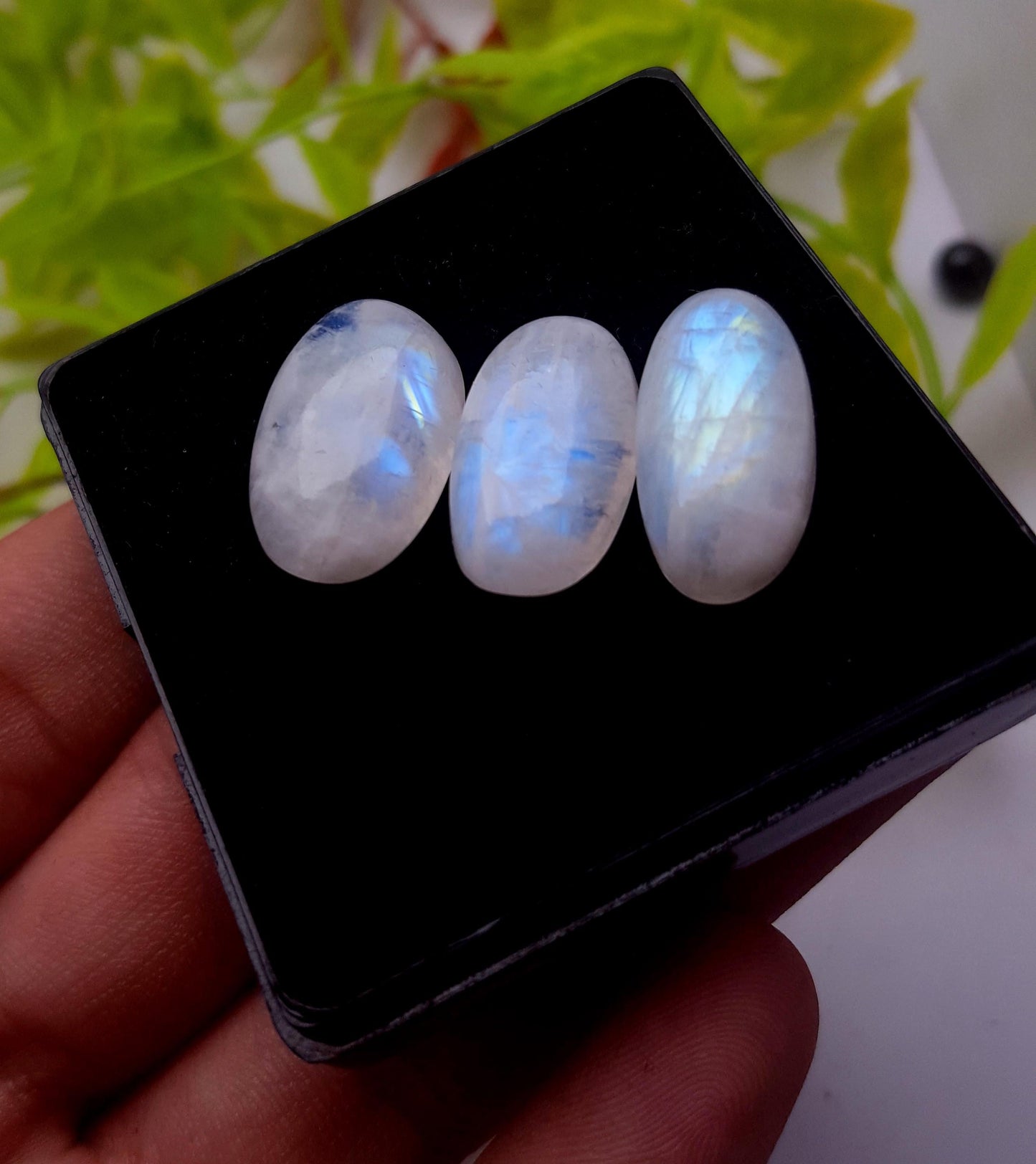 Moonstone, Natural Rainbow Moonstone, Oval Smooth Cabochon Gemstone Lot, 34.60 Carat, Size-19x12x6mm To 19x11x5mm, Gift For Her, PC-3