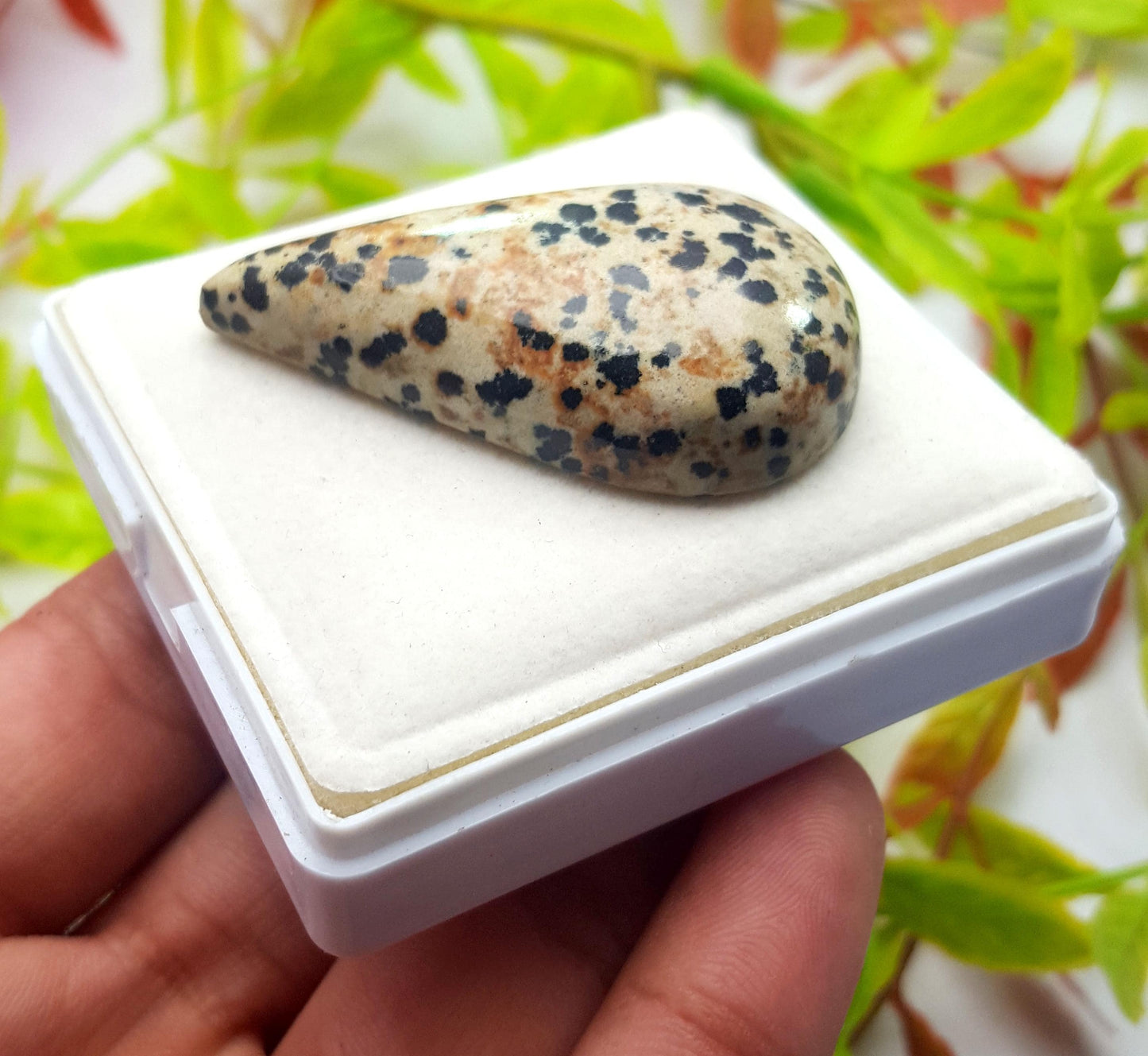 Jasper, Natural Dalmatian Jasper, Pear Shape Smooth Cabochon Loose Gemstone, 96.10 Carat, Size-48x26x10mm, Gift For Her, PC-1