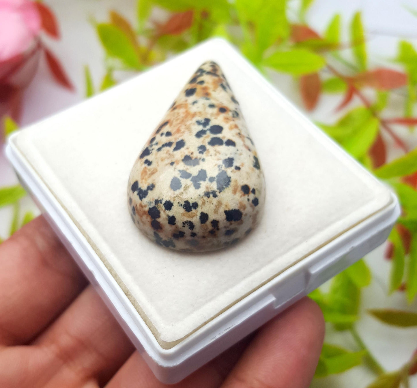 Jasper, Natural Dalmatian Jasper, Pear Shape Smooth Cabochon Loose Gemstone, 96.10 Carat, Size-48x26x10mm, Gift For Her, PC-1