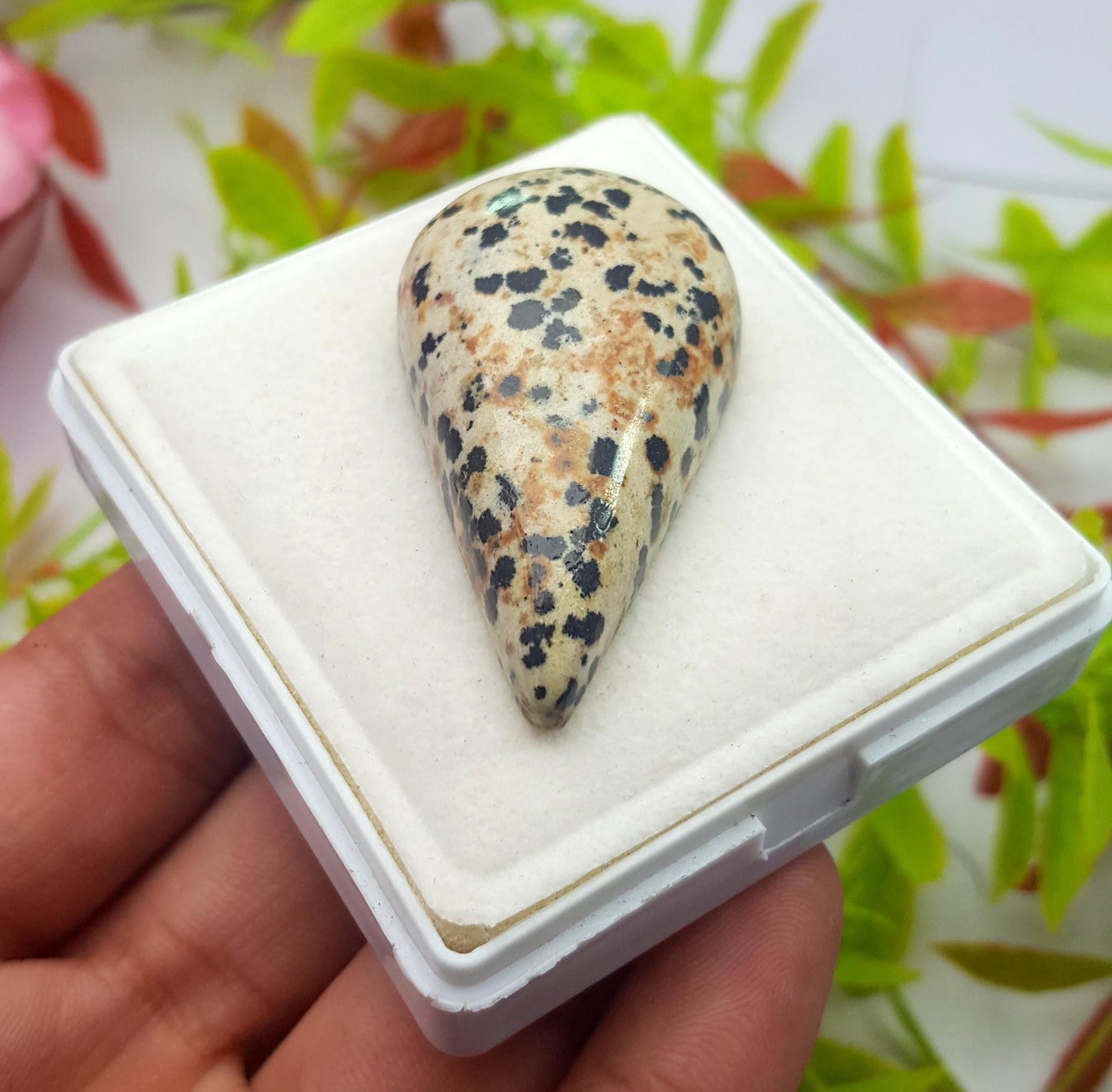 Jasper, Natural Dalmatian Jasper, Pear Shape Smooth Cabochon Loose Gemstone, 96.10 Carat, Size-48x26x10mm, Gift For Her, PC-1