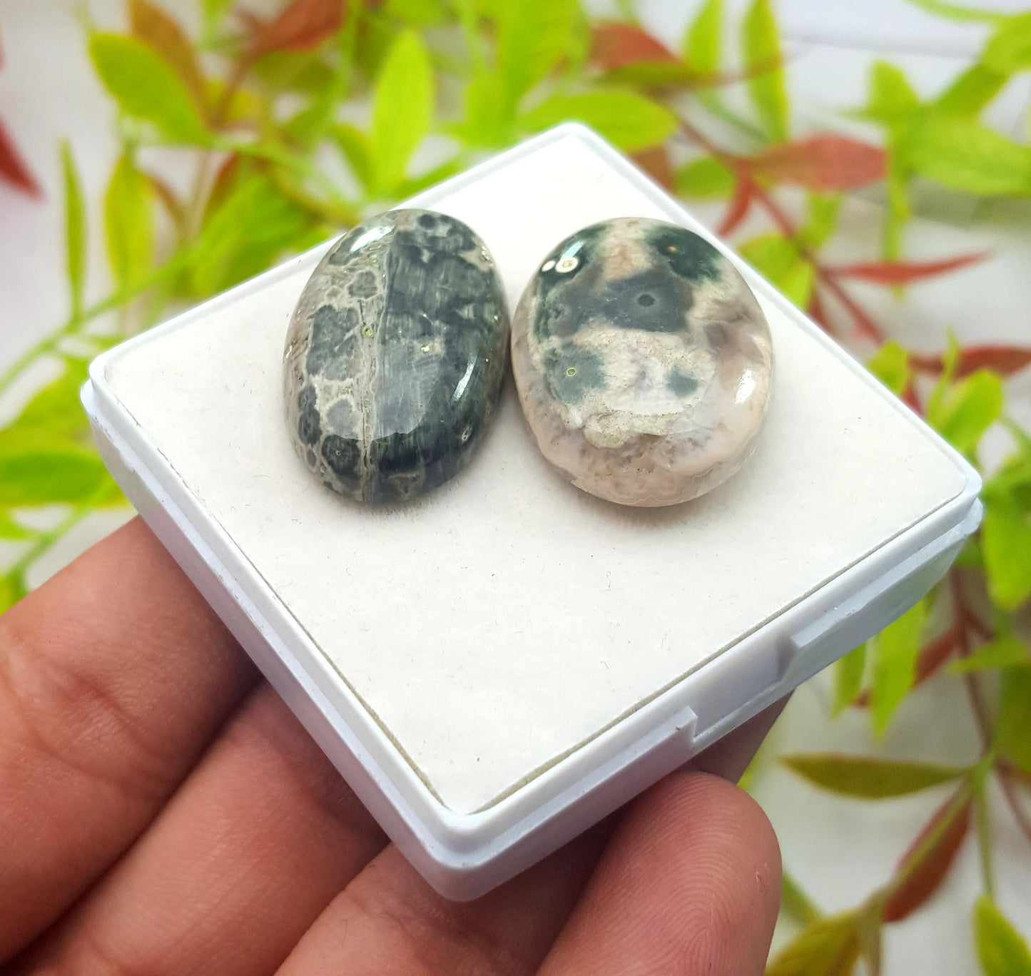 Jasper, Natural Ocean Jasper, Oval Smooth Cabochon Gemstone Lot, 55.70 Carat, Size-28x16x6mm To 26x19x7mm, For Jewelry Making, PCS-2