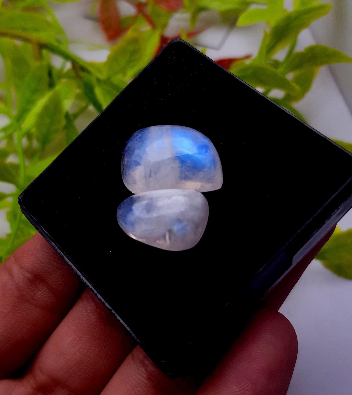 Rainbow Moonstone, Fancy Shape Cabochon Gemstone Lot, 27.90 Carat, Size-21x13x7mm To 17x11x7mm,