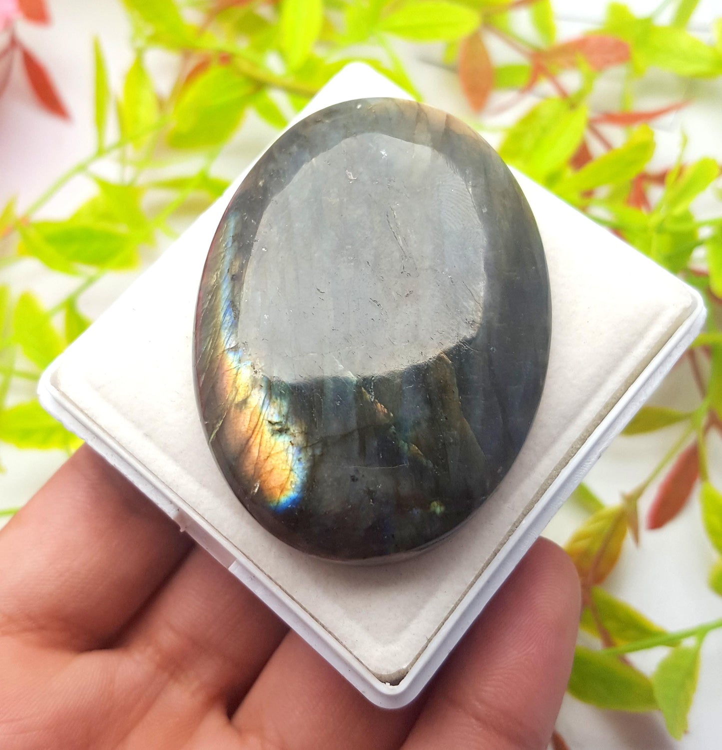 Rare & Natural Multi Flashy Labradorite, Oval Smooth Cabochon Loose Gemstone, 231.30 Ct, Size-68x43x10mm, Gift For Her, PC-1