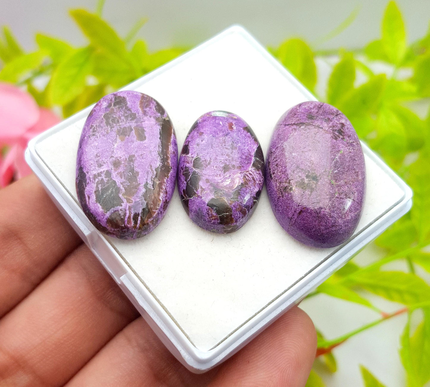 Rare & Natural Purpurite, Oval Shape Cabochon Gemstone Lot, 50.40 Carat, Size-28x18x5mm To 24x15x5mm, Gift For Her, PC-3