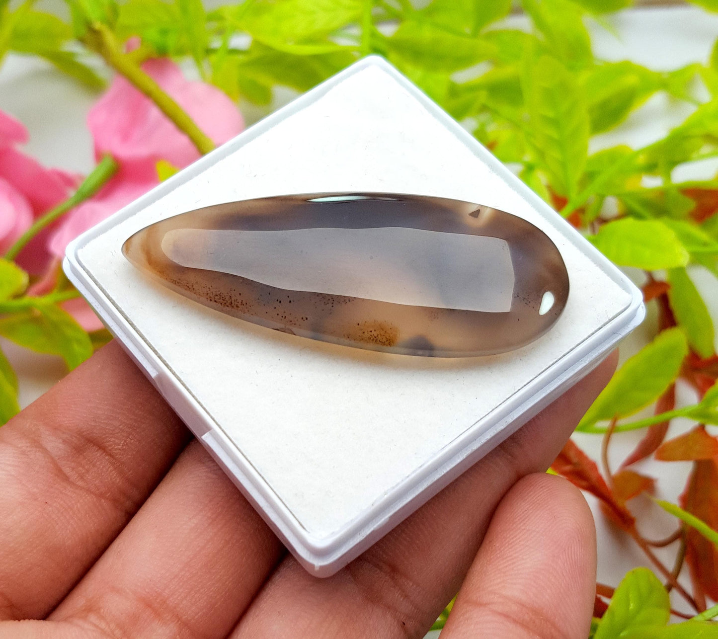 Montana Agate, PEAR Smooth Cabochon Loose Gemstone, 47.80 Carat, Size-51x20x5mm,