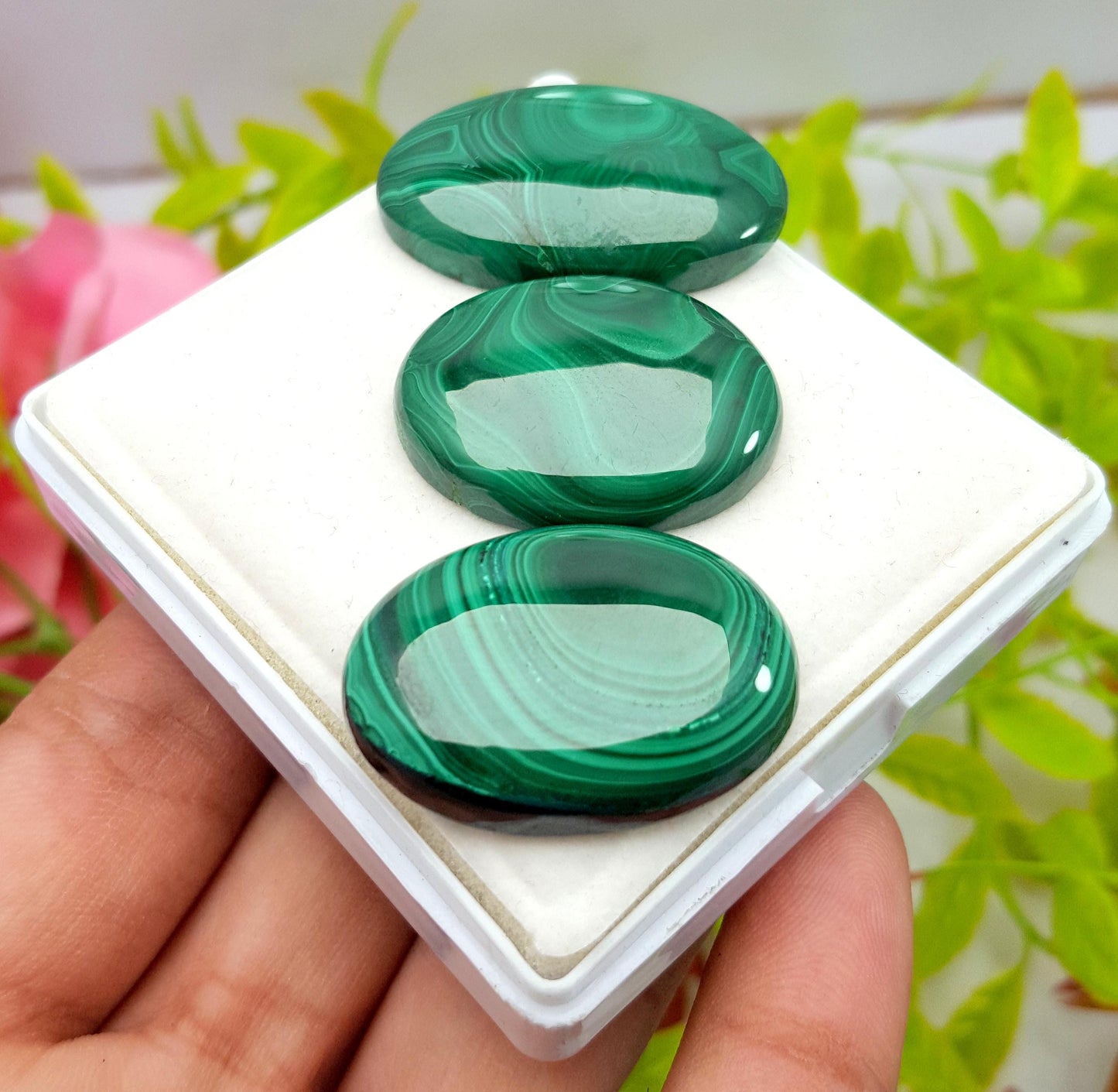 Natural Malachite, Oval Smooth Cabochon Gemstone Lot, 151.50 Carat, Size-33x20x6mm To 29x22x6mm,