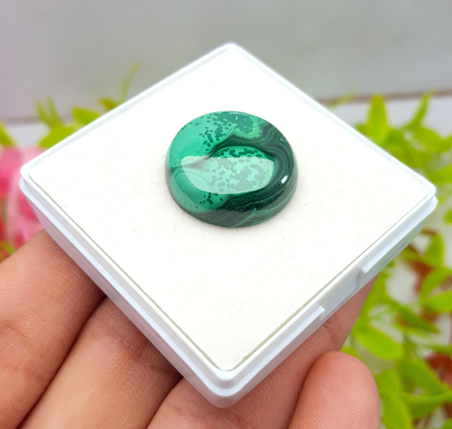 Malachite Round Smooth Cabochon Loose Gemstone, 38.40 Carat, Size-21x21x6mm,