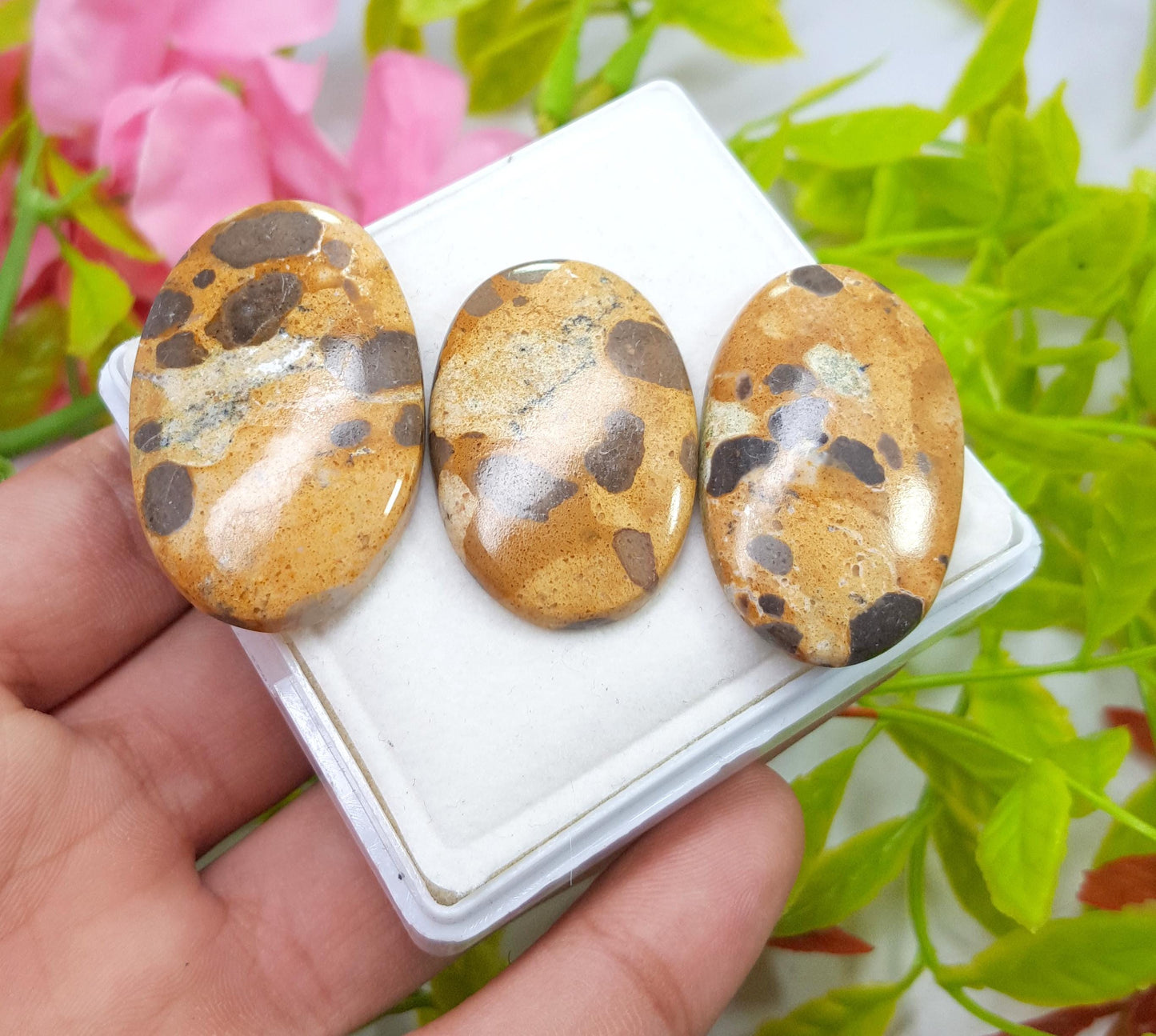 Jasper, Natural Picture Jasper, Oval Smooth Cabochon Gemstone Lot, 124.15 Carat, Size-39x24x6mm To 34x23x5mm, For Jewelry Making,