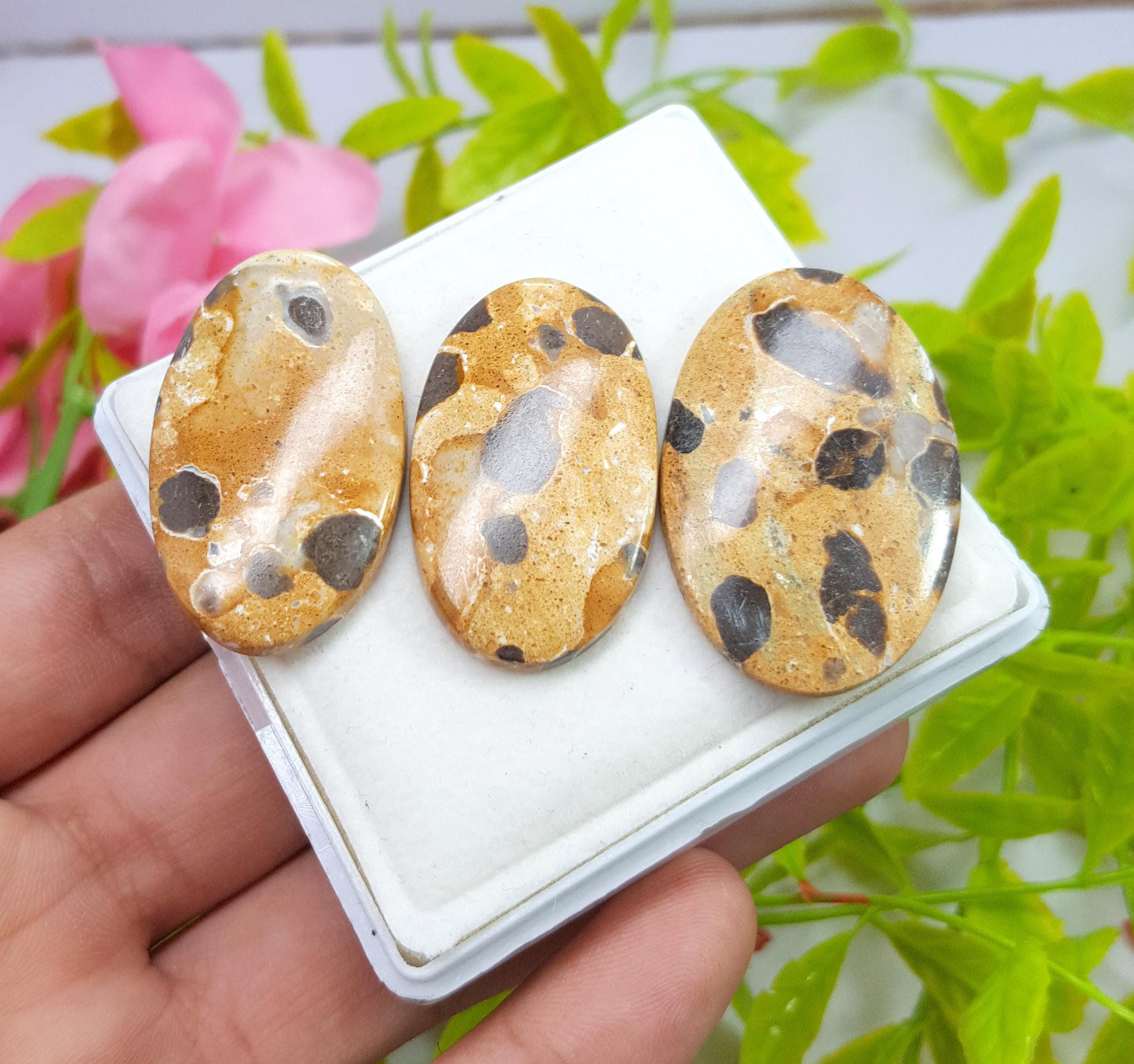 Jasper, Natural Picture Jasper, Oval Smooth Cabochon Gemstone Lot, 97.20 Carat, Size-37x24x4mm To 35x20x5mm, For Jewelry Making,