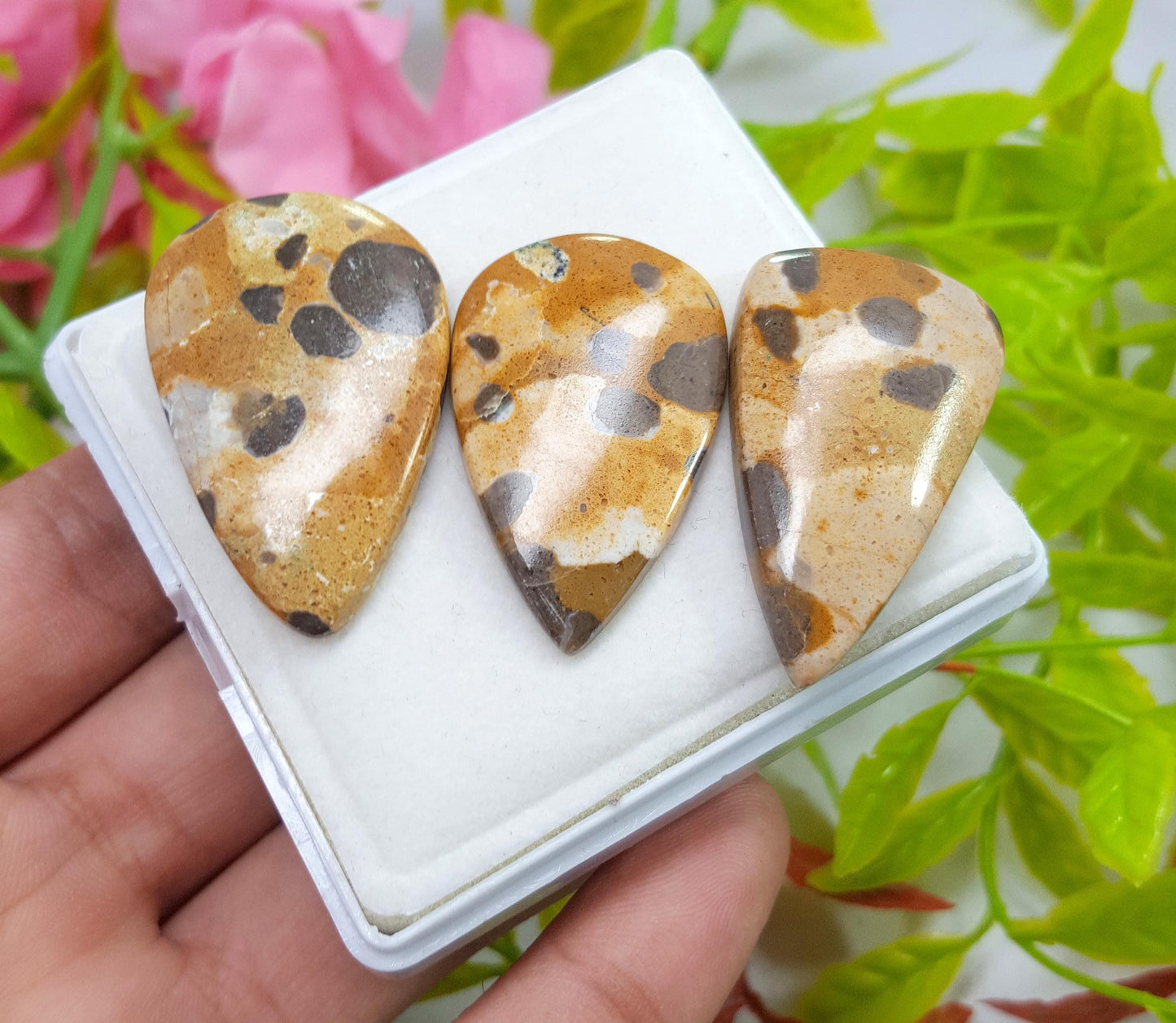 Jasper, Natural Picture Jasper, Pear Smooth Cabochon Gemstone Lot, 98.10 Carat, Size-38x24x5mm To 36x22x4mm, For Jewelry Making,