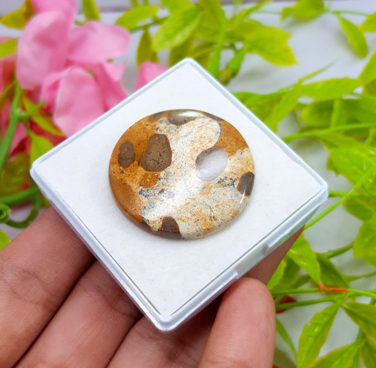 Jasper, Natural Picture Jasper, Round Smooth Cabochon Loose Gemstone, 47.20 Carat, Size-32x32x5mm, For Jewelry Making,