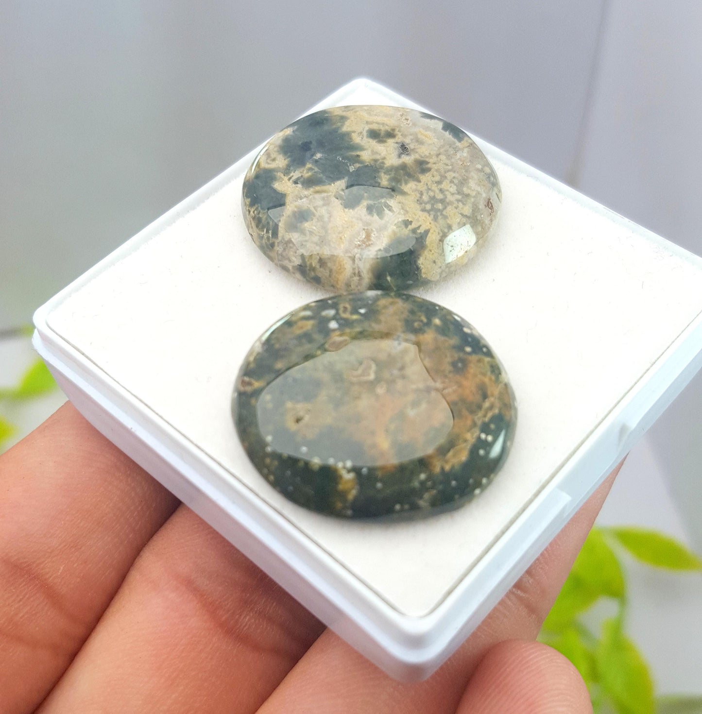 Jasper, Natural Ocean Jasper, Round Smooth Cabochon Gemstone Lot, 59.60 Carat, Size-26x226x6mm To 24x24x5mm, For Jewelry Making, PCS-2