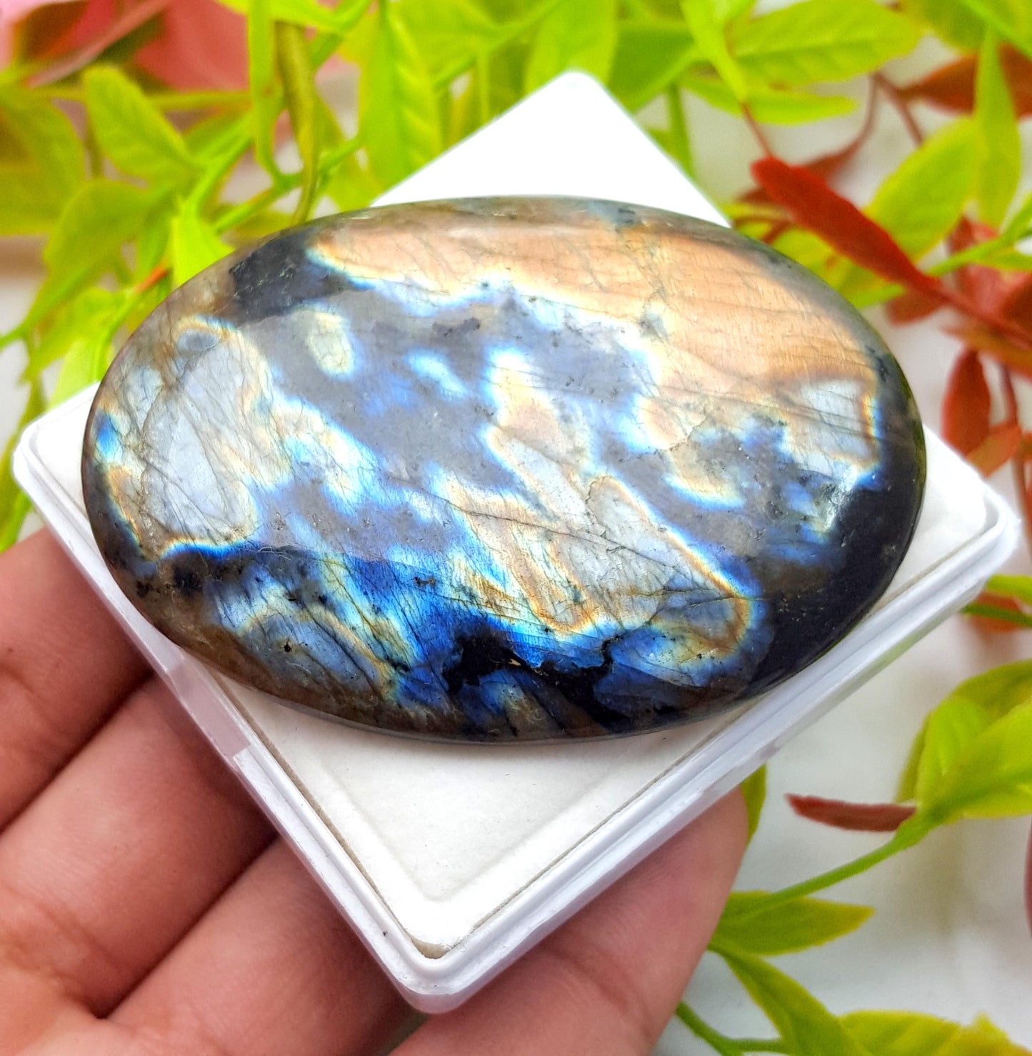 100% Natural Multi Flashy Labradorite, Oval Smooth Cabochon Loose Gemstone, 256.60 Carat, Size-67x47x9mm, Gift For Her, PC-1