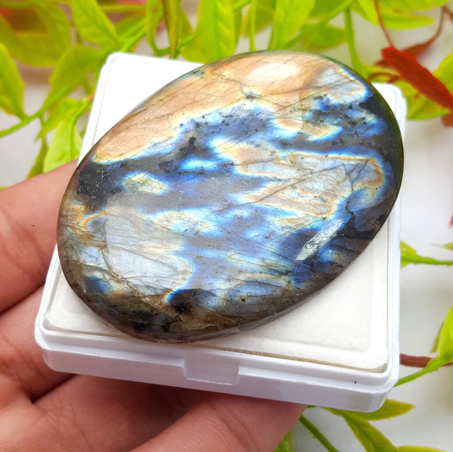 100% Natural Multi Flashy Labradorite, Oval Smooth Cabochon Loose Gemstone, 256.60 Carat, Size-67x47x9mm, Gift For Her, PC-1