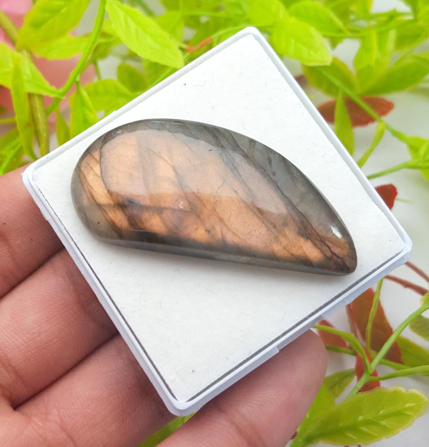 Labradorite, 100% Natural Multi Labradorite, Fancy Shape Smooth Cabochon Loose Gemstone, 64.20 Carat, Size-49x22x7mm, Gift For Her, PC-1