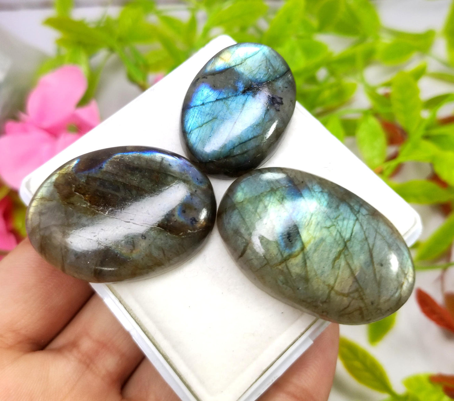 Labradorite, 100% Natural Multi Labradorite, Oval Smooth Cabochon Gemstone Lot, 179.40 Crt, Size-39x25x8mm To 31x22x8mm, Gift For Her, PC-3