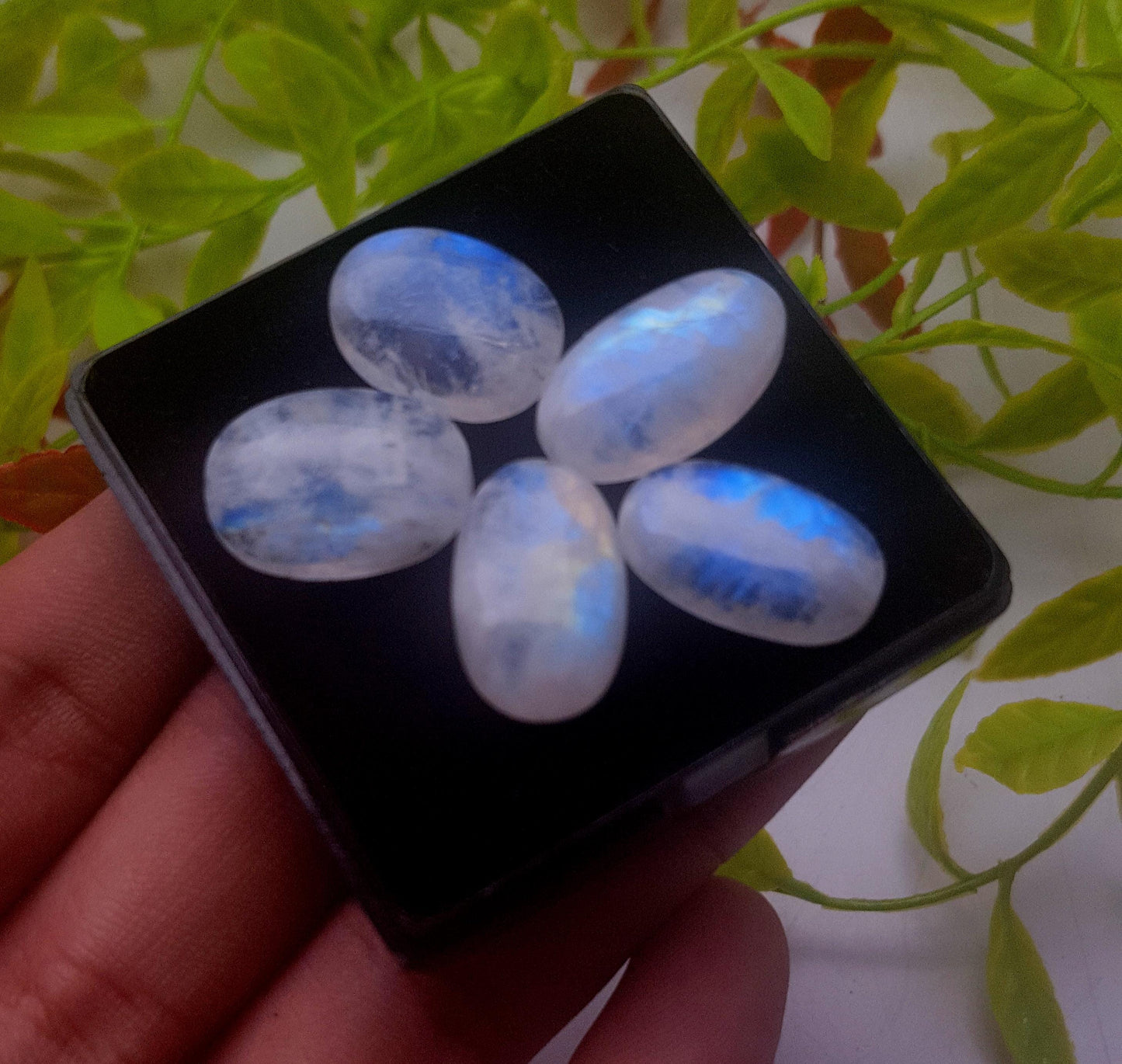 Natural Rainbow Moonstone, Oval Smooth Cabochon Gemstone Lot, 50.50 Carat, Size-18x12x5mm To 17x13x5mm, Gift For Her, PC-5