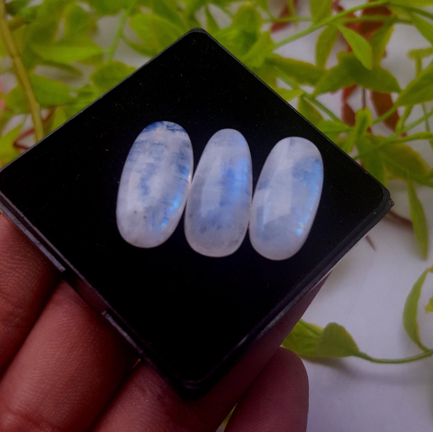 Moonstone, Natural Rainbow Moonstone, Oval Smooth Cabochon Gemstone Lot, 42.50 Carat, Size-23x11x6mm To 23x11x6mm, Gift For Her, PC-3